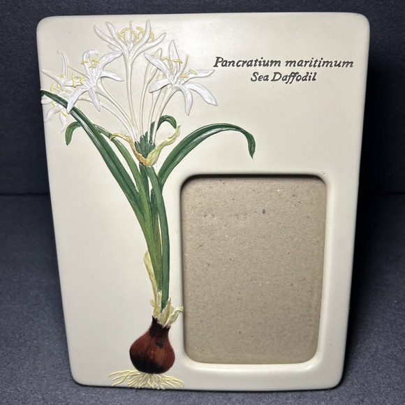 Carr Other - Carr Picture Frame 3.5x5 Botanical Garden Sea‎ Daffodil Floral Frame